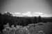 High Road to Taos, New Mexico - United States of America